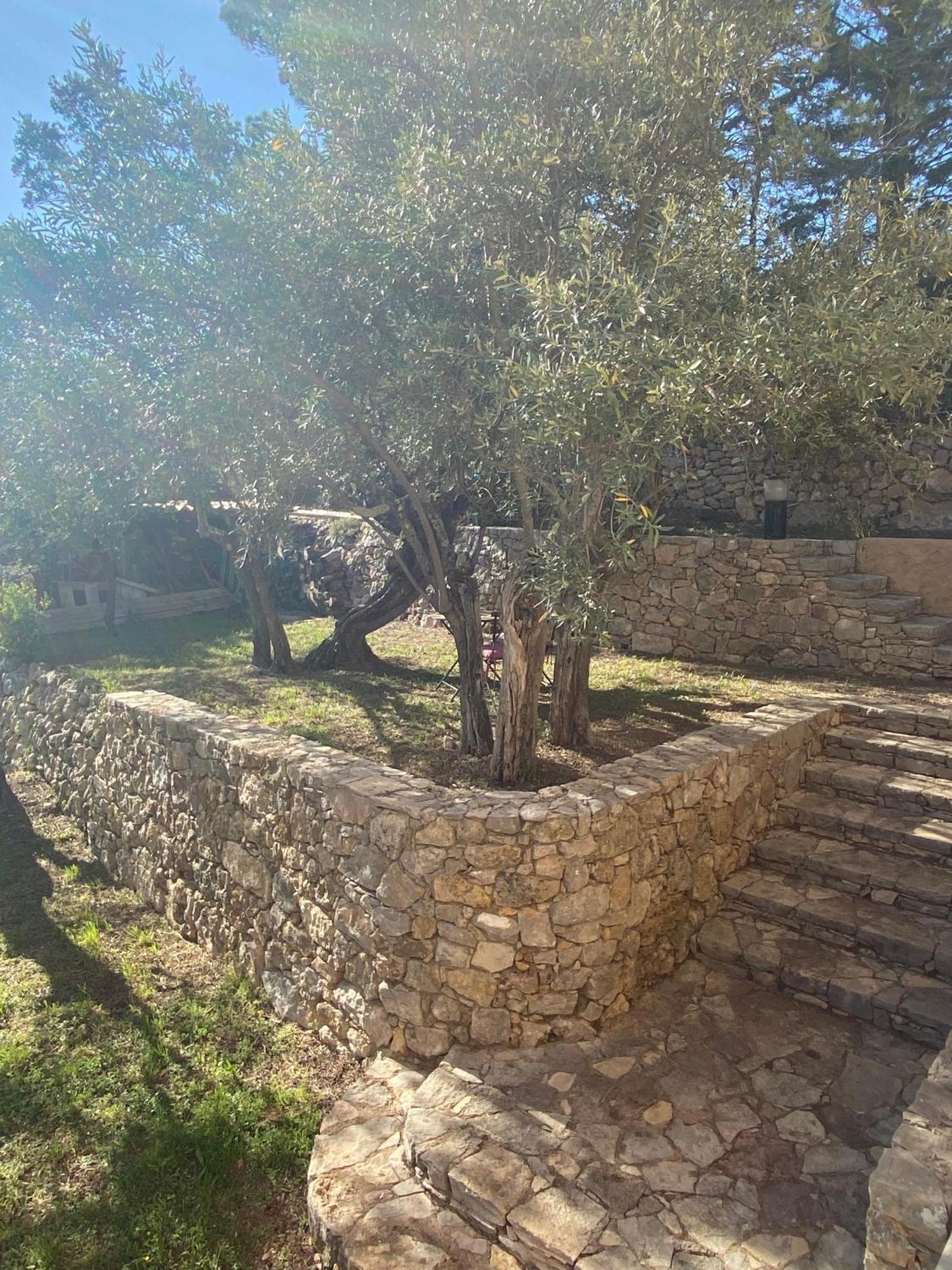 Chambres D'Hotes De Charme La Joseline Flayosc Exteriér fotografie
